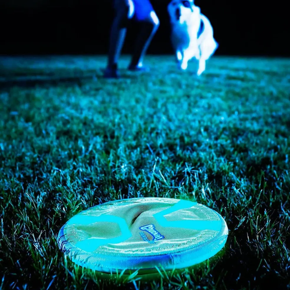 Chuckit! Paraflight Max Glow Toy For Dogs - Large