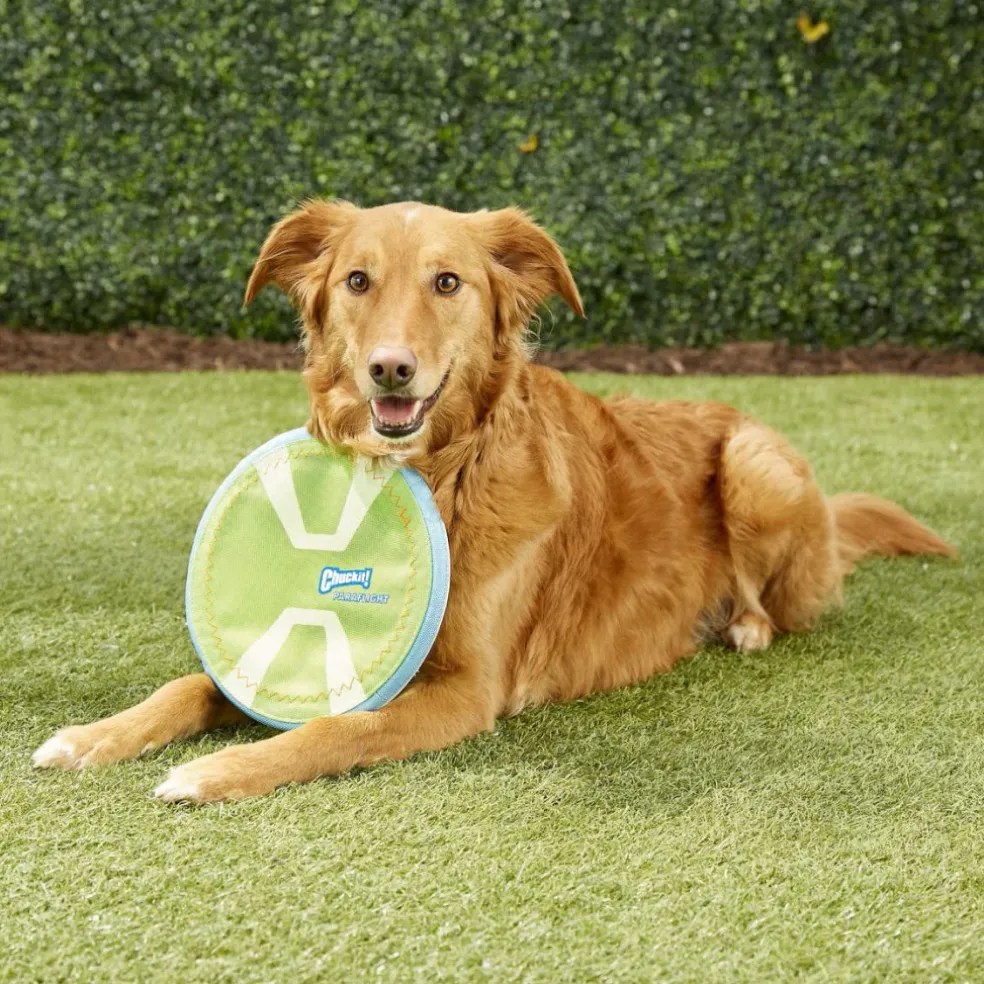 Chuckit! Paraflight Max Glow Toy For Dogs - Large