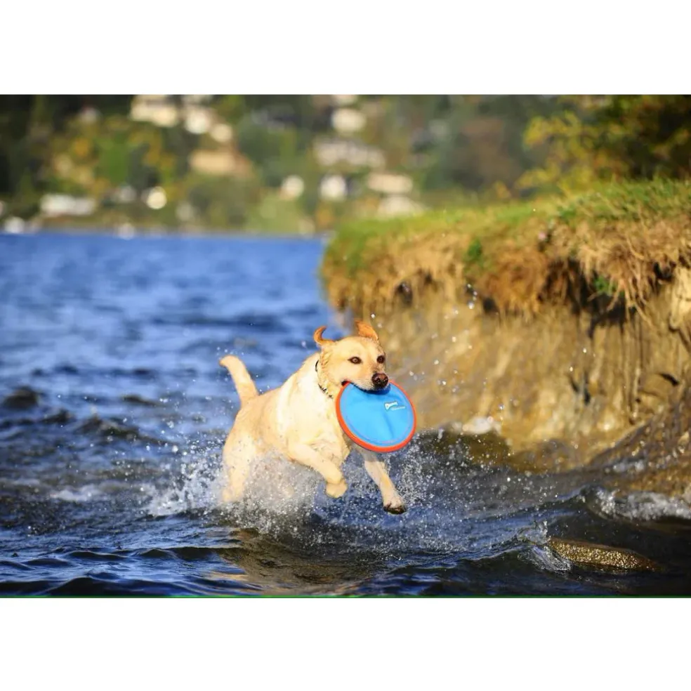 Chuckit! Paraflight Toy for Dogs