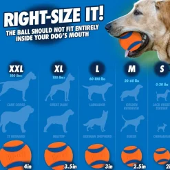 Chuckit! Pro Ball Launcher Toy For Dogs, Color Varies