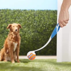 Chuckit! Pro Ball Launcher Toy For Dogs, Color Varies