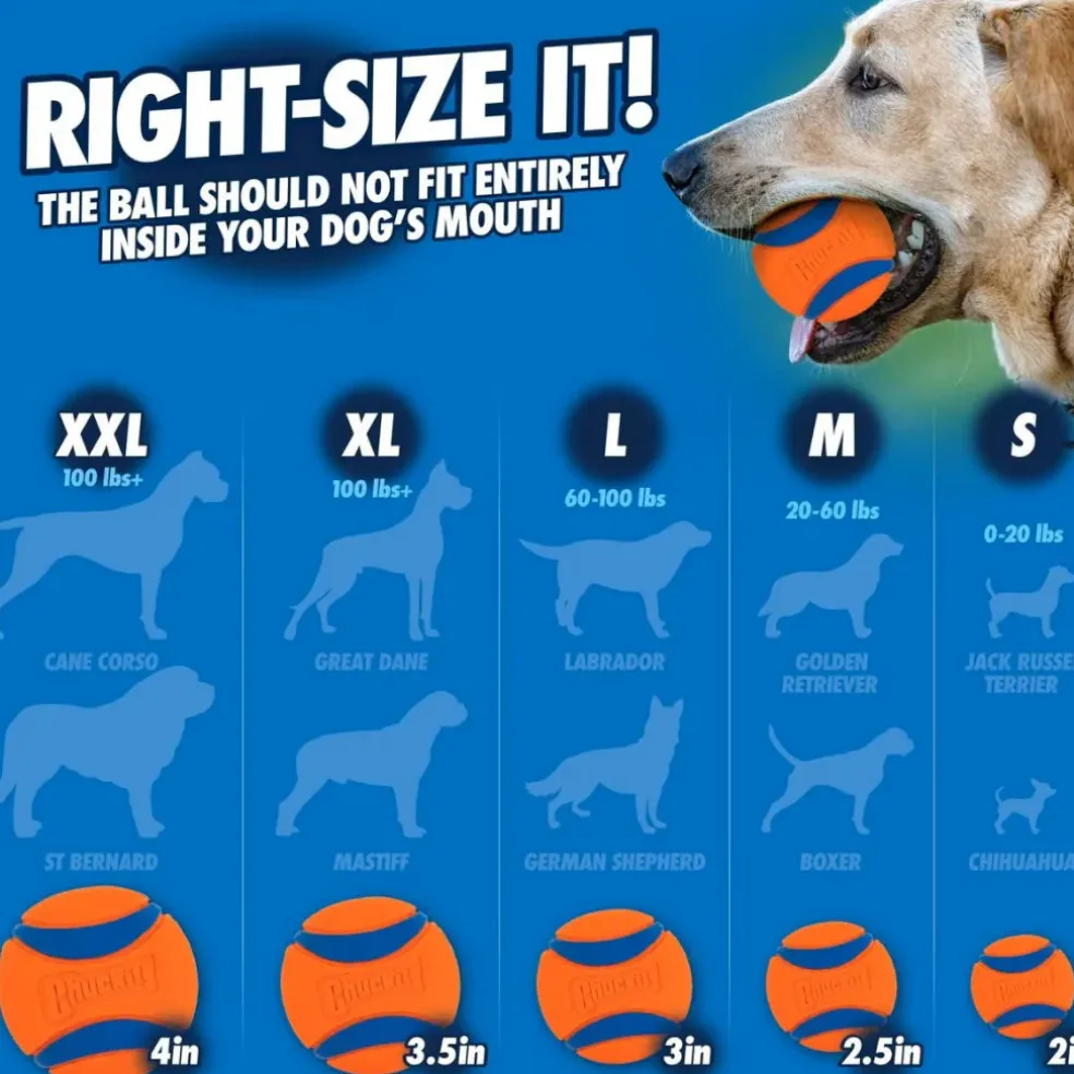 Chuckit! Sport Ball Launcher Toy For Dogs, color varies