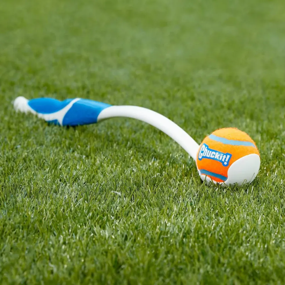 Chuckit! Sport Ball Launcher Toy For Dogs, color varies