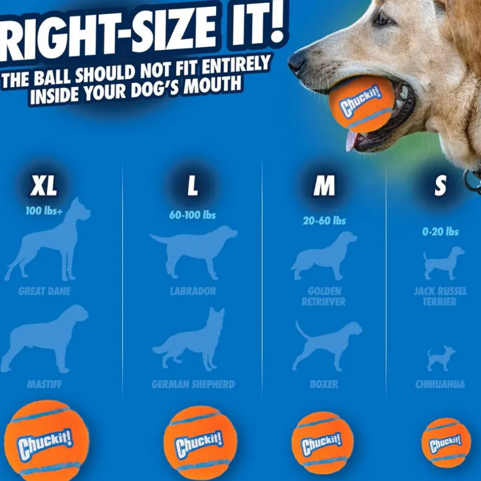 Chuckit! Tennis Ball Toy for Dogs