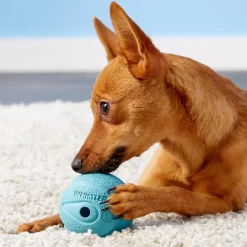 Chuckit! The Whistler Ball Toy For Dogs