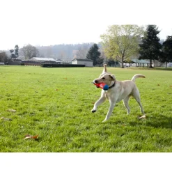 Chuckit! Tumble Bumper Toy For Dogs