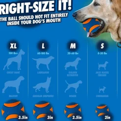 Chuckit! Ultra Squeaker Ball Toy For Dogs, Medium