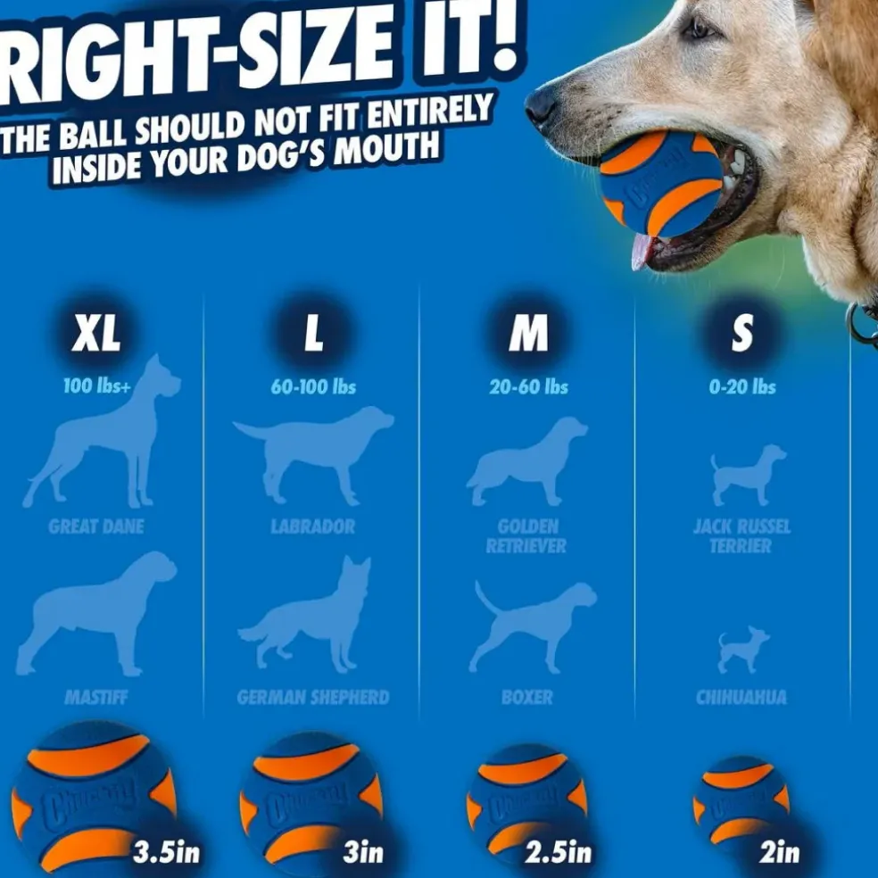 Chuckit! Ultra Squeaker Ball Toy For Dogs, Large