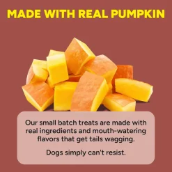 Cloud Star Dynamo Dog Tummy Soft Chews with Probiotic & Pumpkin, (14 oz)