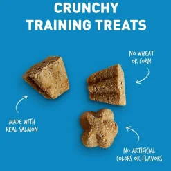 Cloud Star Tricky Trainers Crunchy Salmon Dog Treats (8 oz)