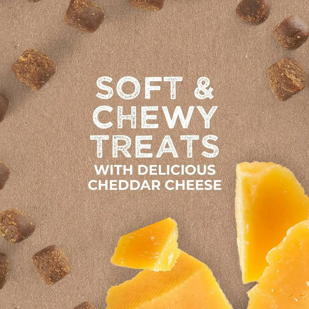 Cloud Star Tricky Trainers Soft & Chewy Cheddar Dog Treats