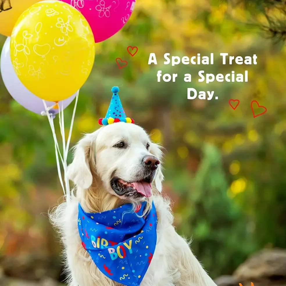 Cloud Star Wag More Bark Less Birthday Bites Soft Baked Peanut Butter & Honey Dog Treats (5 oz)