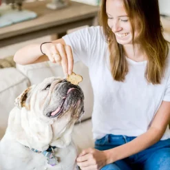 Cloud Star Wag More Bark Less Grain-Free Pumpkin Crunchy Biscuits Treats For Dogs
