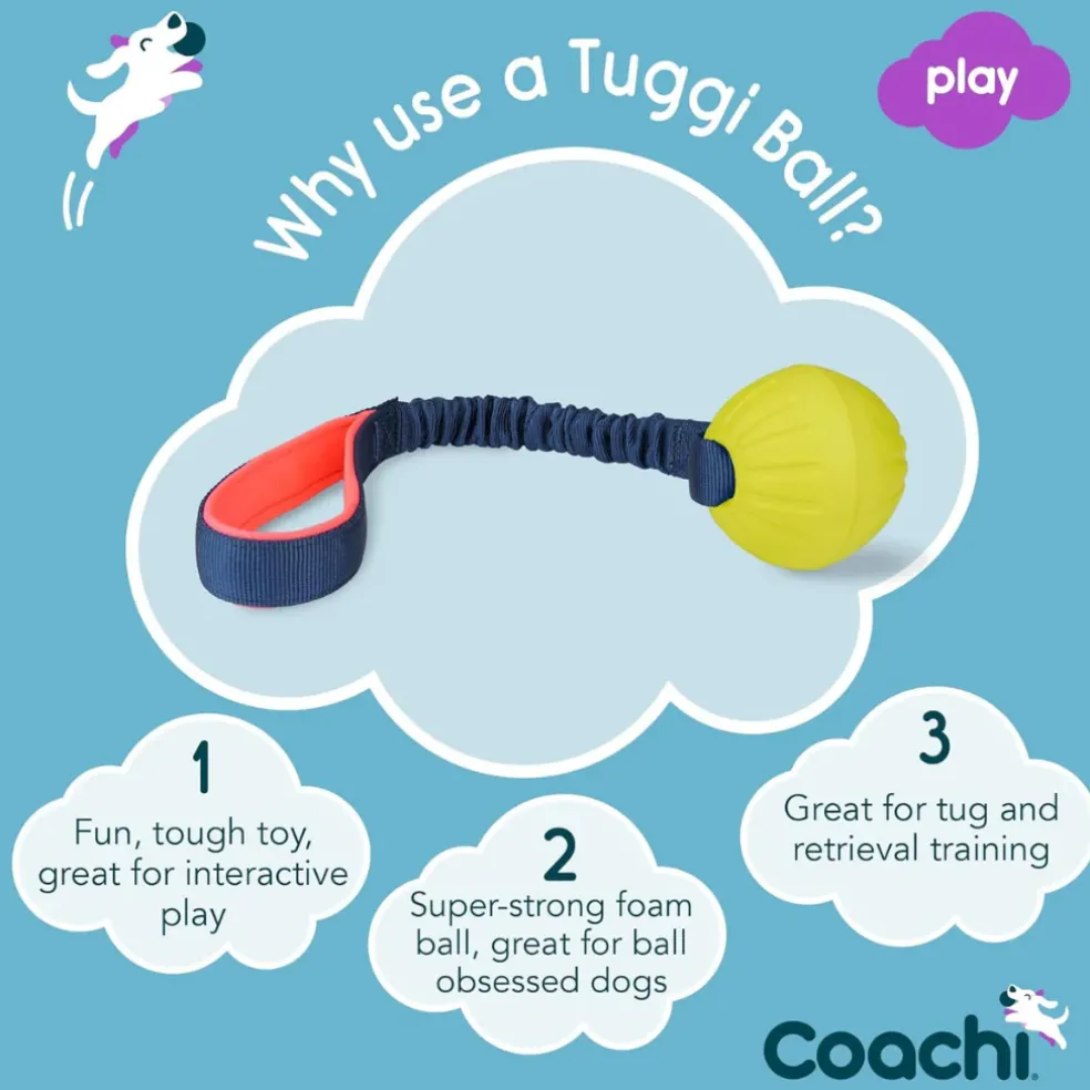 Coachi Tuggi Ball Dog Toy