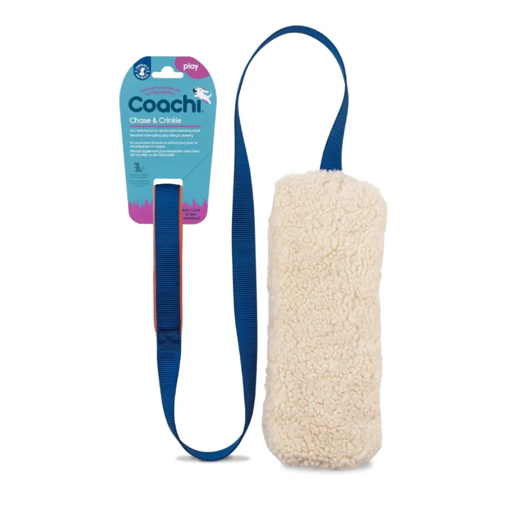 Coachi Tuggi Chase & Crinkle Dog Toy