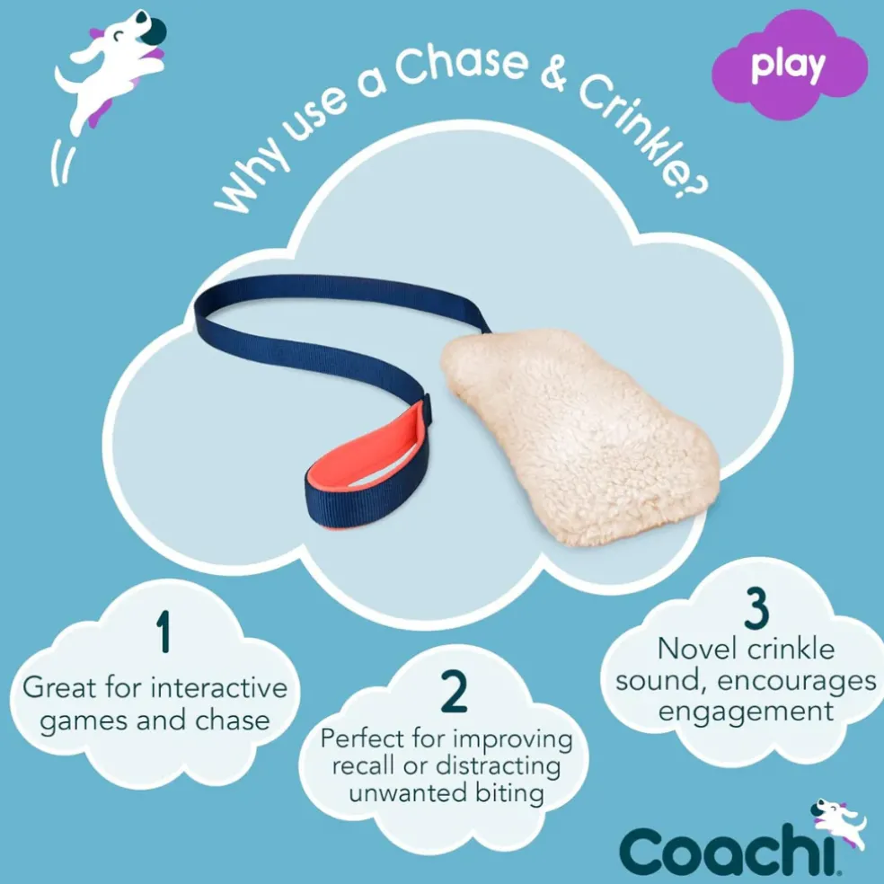 Coachi Tuggi Chase & Crinkle Dog Toy