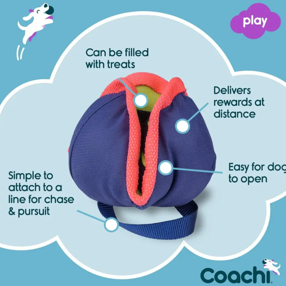 Coachi Tuggi Chase & Treat Dog Toy