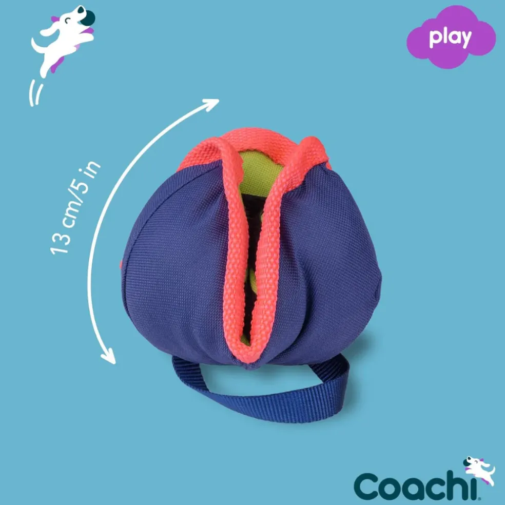 Coachi Tuggi Chase & Treat Dog Toy