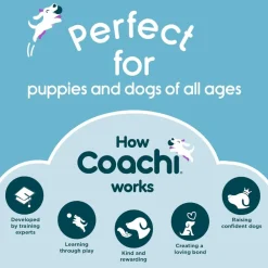 Coachi Tuggi Chase & Treat Dog Toy