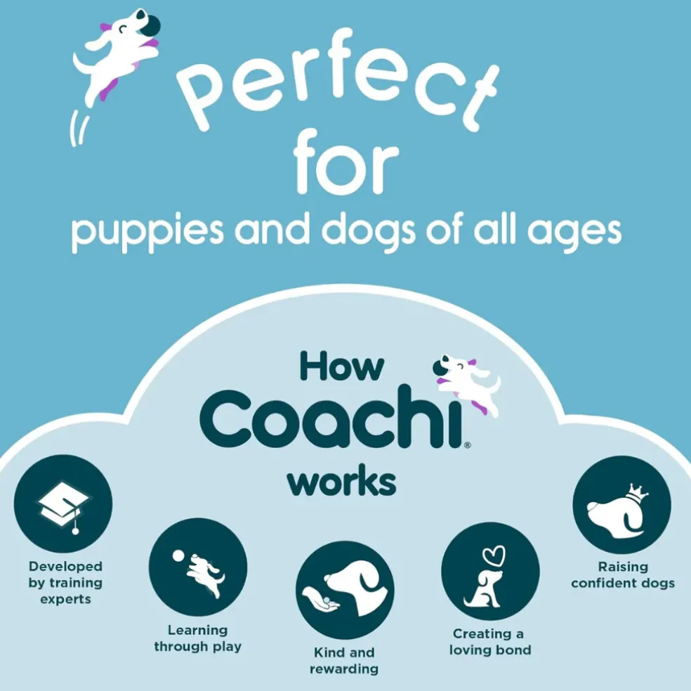 Coachi Tuggi Chase & Treat Dog Toy