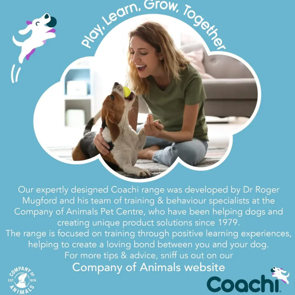 Coachi Tuggi Helix Dog Toy