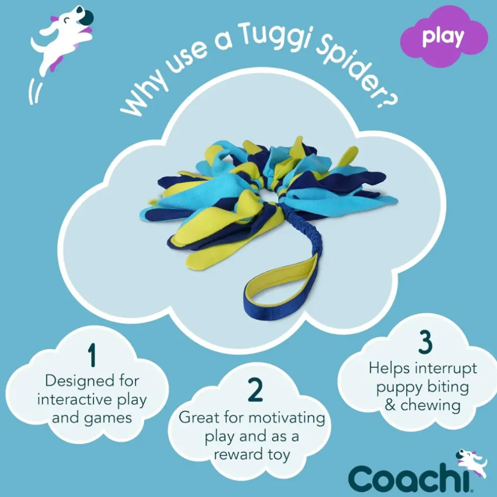 Coachi Tuggi Spider Dog Toy