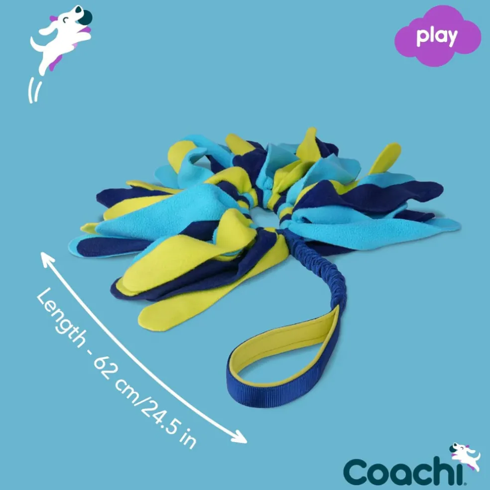 Coachi Tuggi Spider Dog Toy