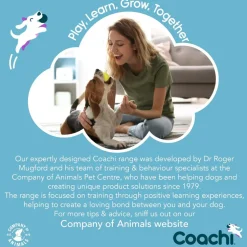 Coachi Tuggi Spider Dog Toy