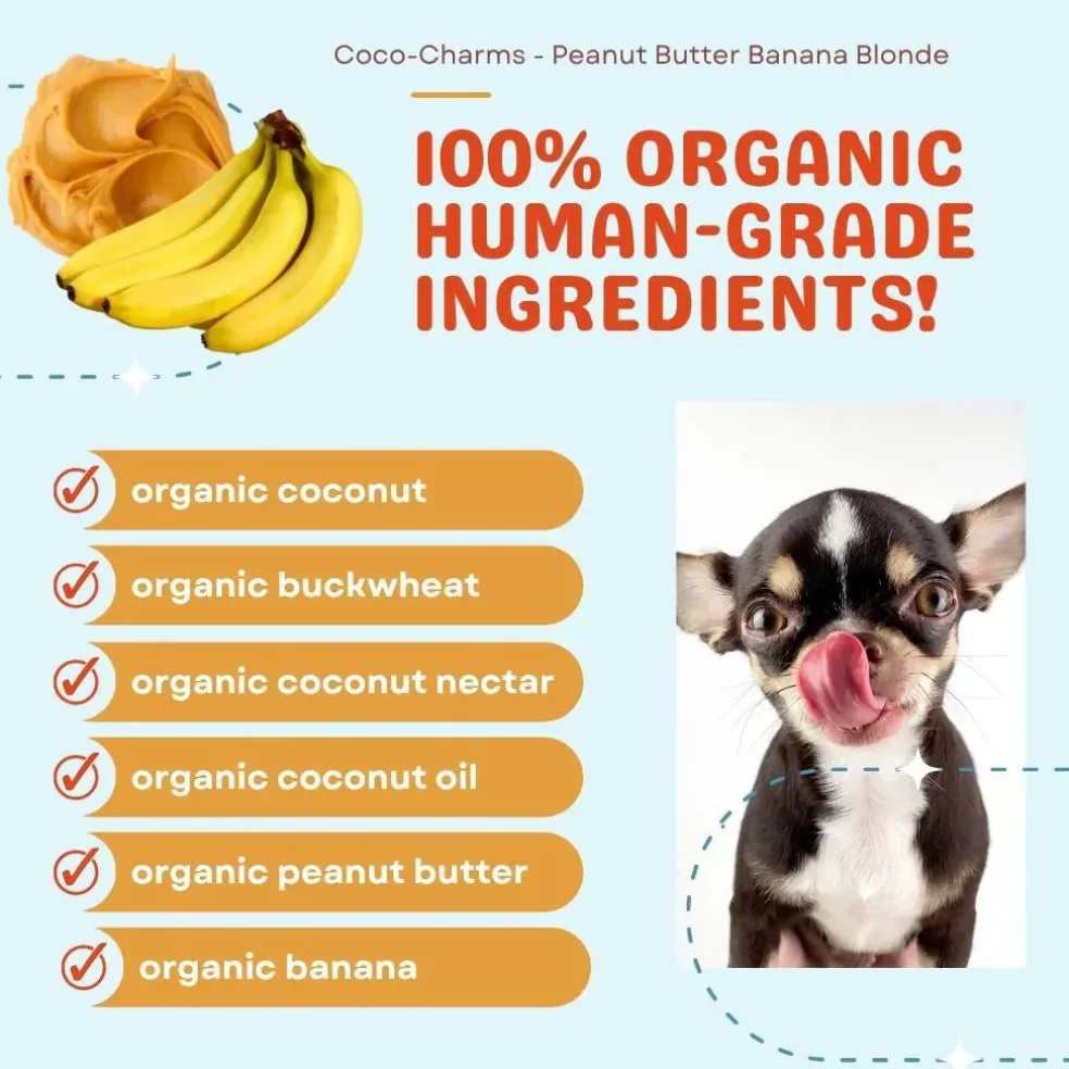 Cocotherapy Coco-Charms Training Treats for Dogs & Puppies, 5-oz