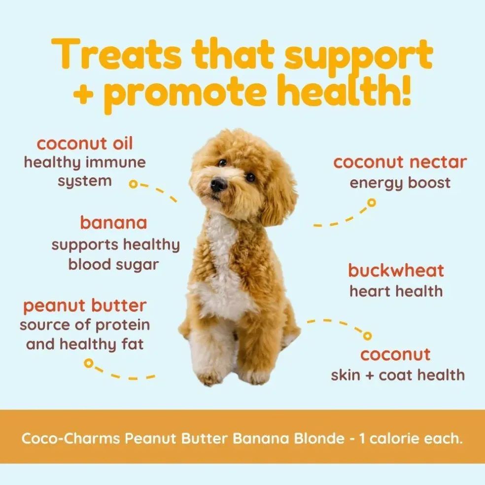 Cocotherapy Coco-Charms Training Treats for Dogs & Puppies, 5-oz