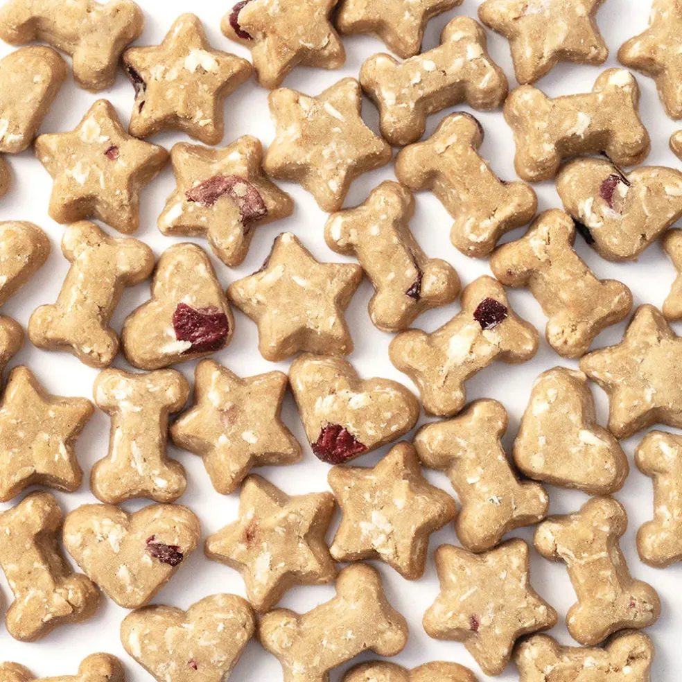 Cocotherapy Coco-Charms Training Treats for Dogs & Puppies, 5-oz