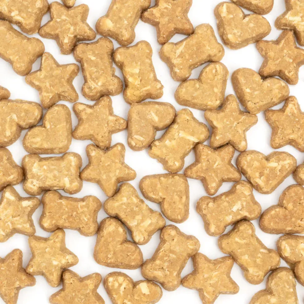 Cocotherapy Coco-Charms Training Treats for Dogs & Puppies, 5-oz