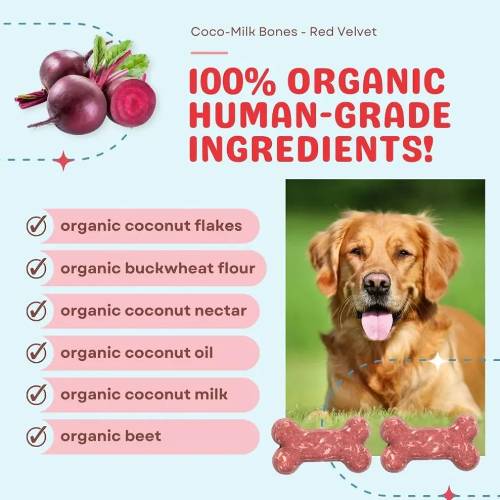 Cocotherapy Coco-Milk Bones Biscuit Organic Coconut Treat for Dogs, 6-oz