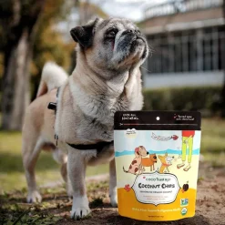 Cocotherapy Coconut Chips Raw Coconut for Dogs, Cats & Birds, 6-oz