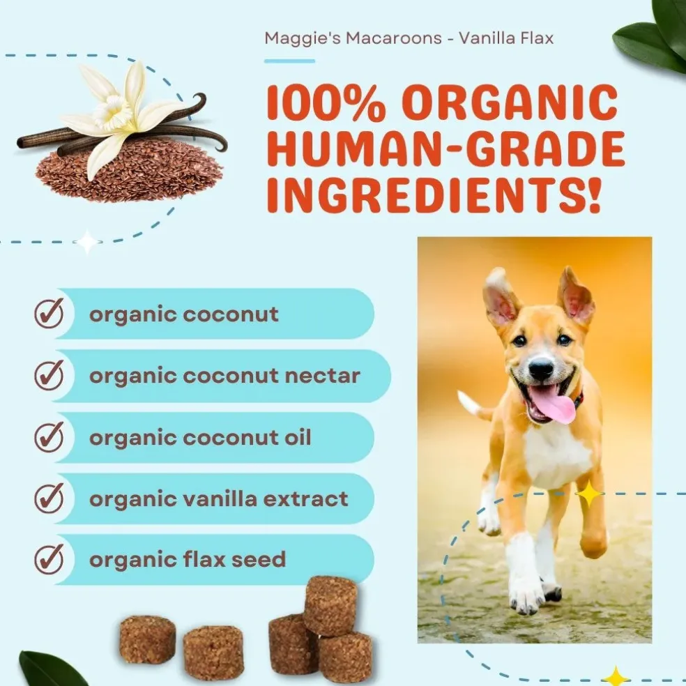 Cocotherapy Maggie's Macaroons Coconut Organic Coconut Treat for Dogs, 4-oz