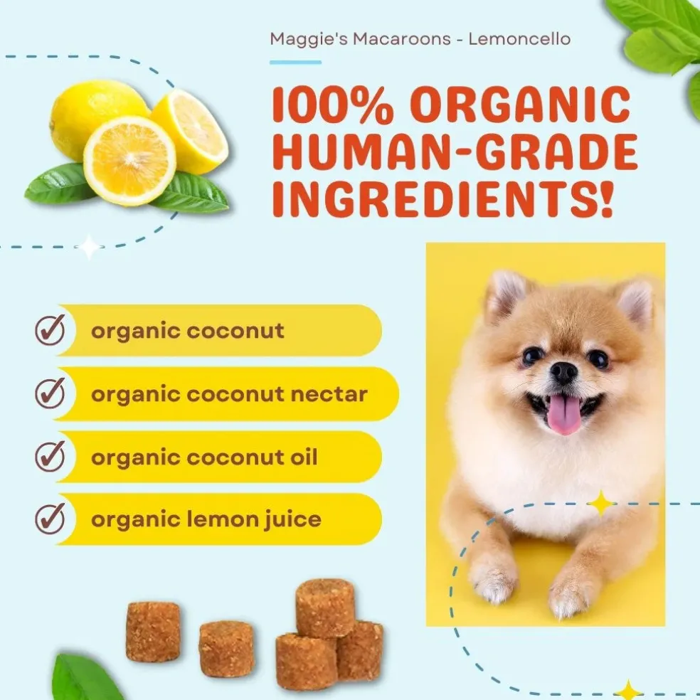 Cocotherapy Maggie's Macaroons Coconut Organic Coconut Treat for Dogs, 4-oz