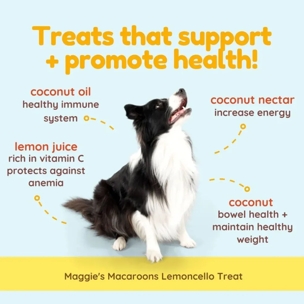 Cocotherapy Maggie's Macaroons Coconut Organic Coconut Treat for Dogs, 4-oz