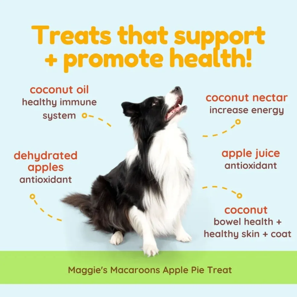 Cocotherapy Maggie's Macaroons Coconut Organic Coconut Treat for Dogs, 4-oz