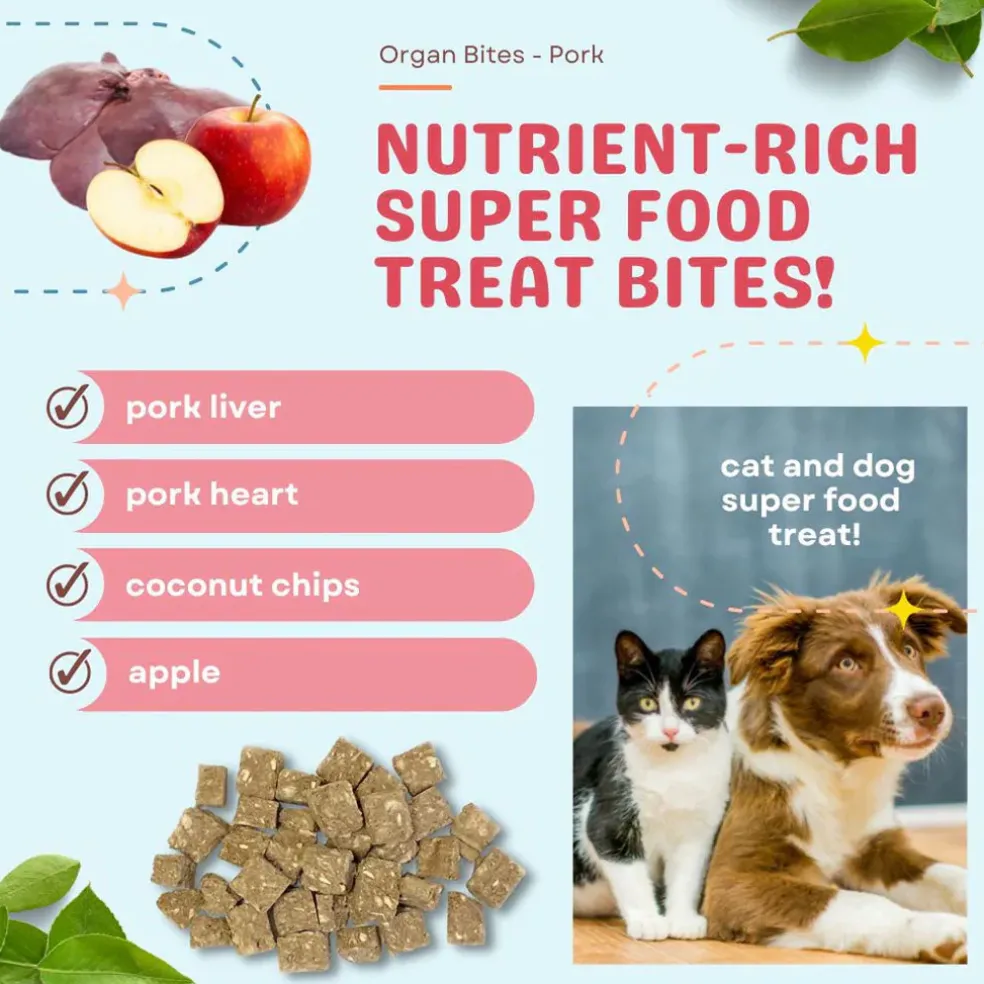 Cocotherapy Organ Bites! Raw Organ Meat Treat for Dogs and Cats, 3-oz