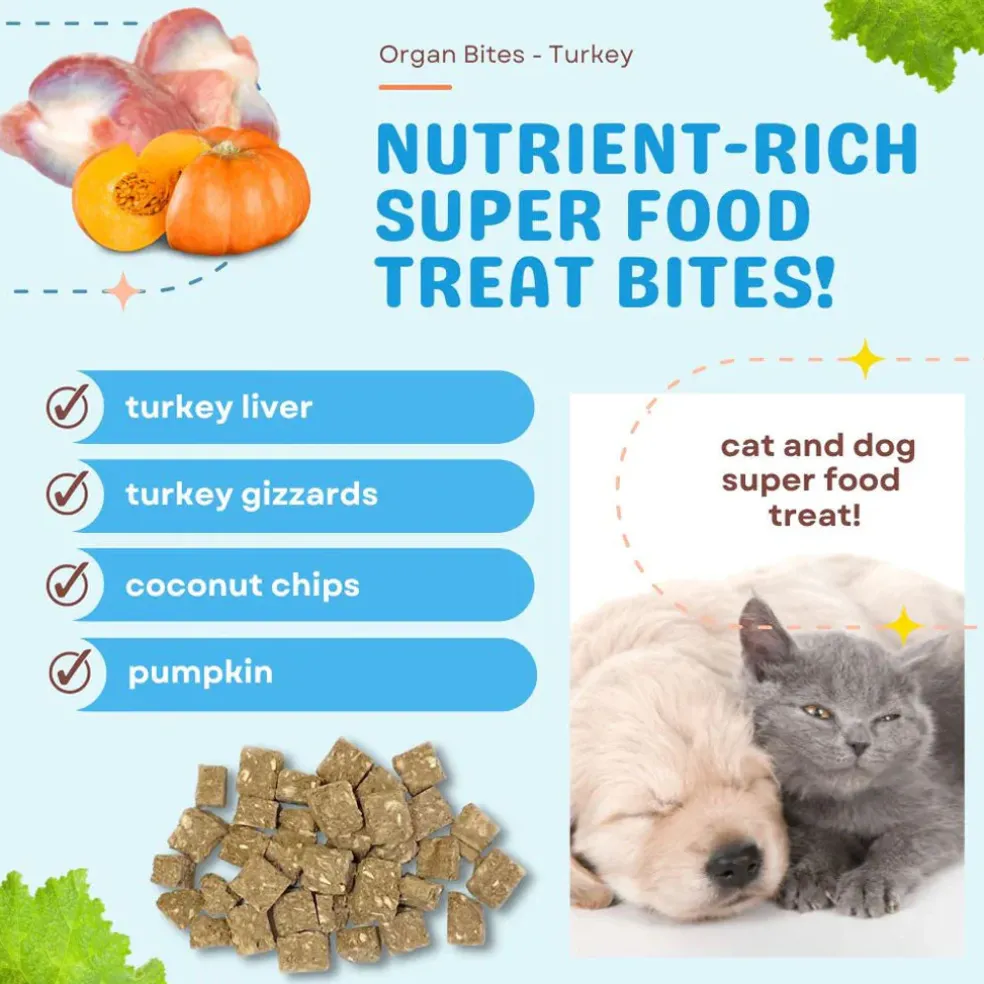 Cocotherapy Organ Bites! Raw Organ Meat Treat for Dogs and Cats, 3-oz