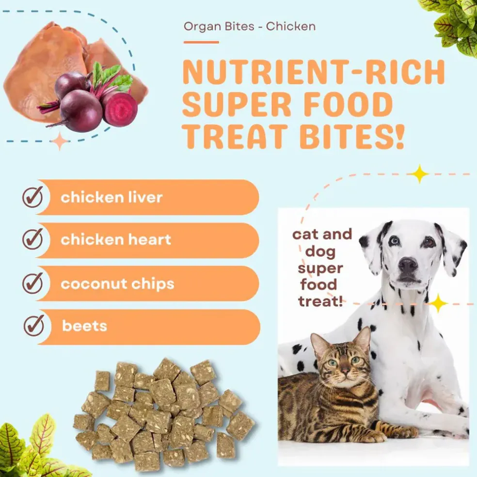 Cocotherapy Organ Bites! Raw Organ Meat Treat for Dogs and Cats, 3-oz