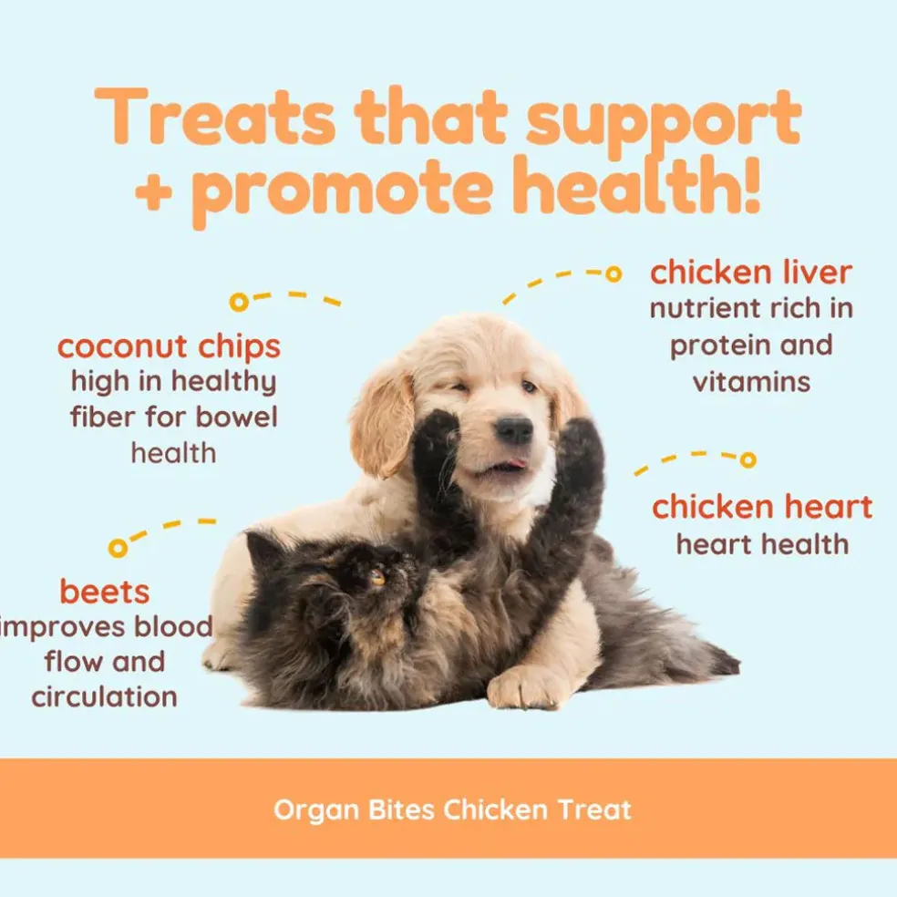 Cocotherapy Organ Bites! Raw Organ Meat Treat for Dogs and Cats, 3-oz