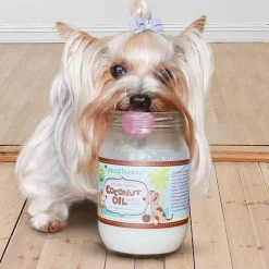 Cocotherapy Virgin Coconut Oil Supportive Care for Dogs, Cats & Birds