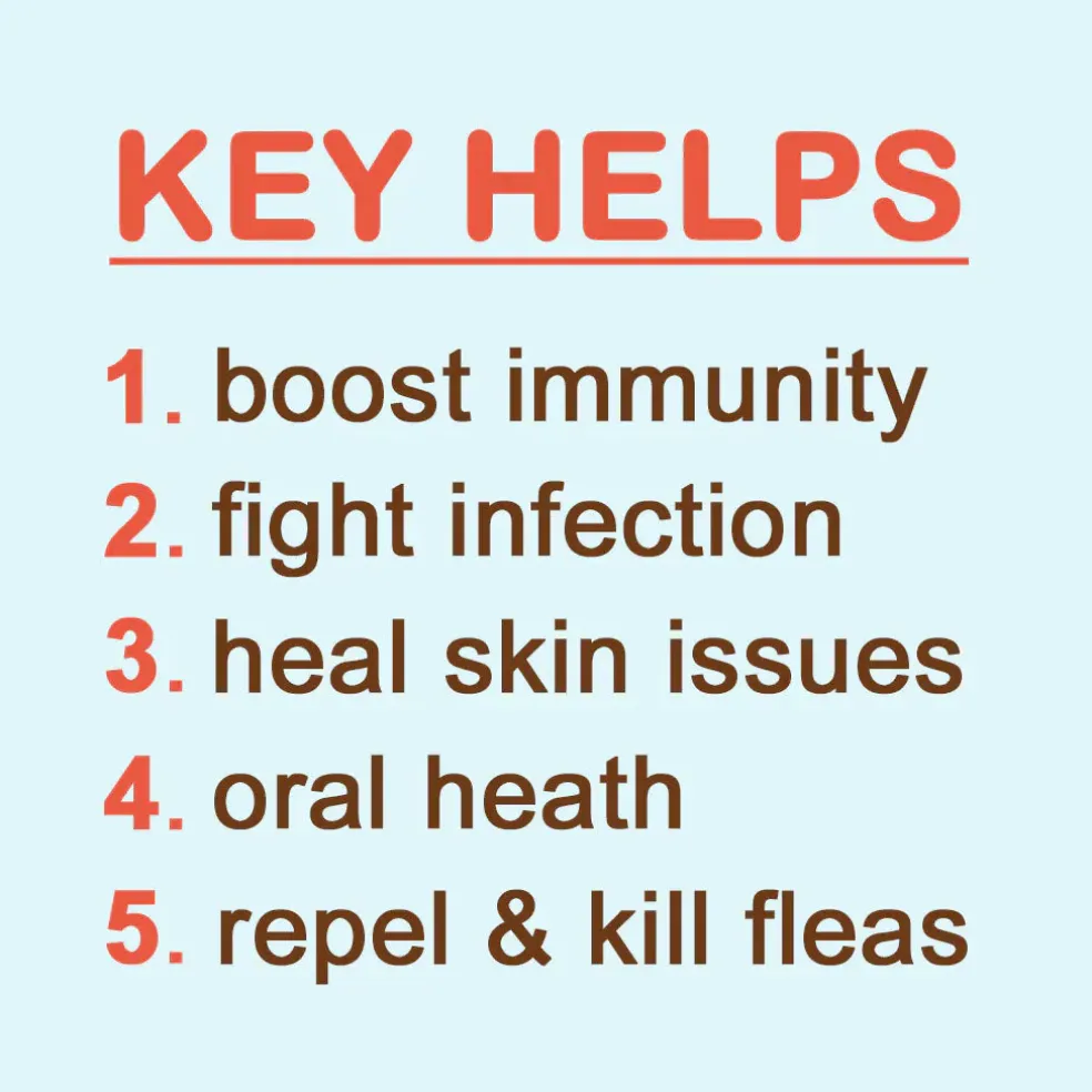 Cocotherapy Virgin Coconut Oil Supportive Care for Dogs, Cats & Birds