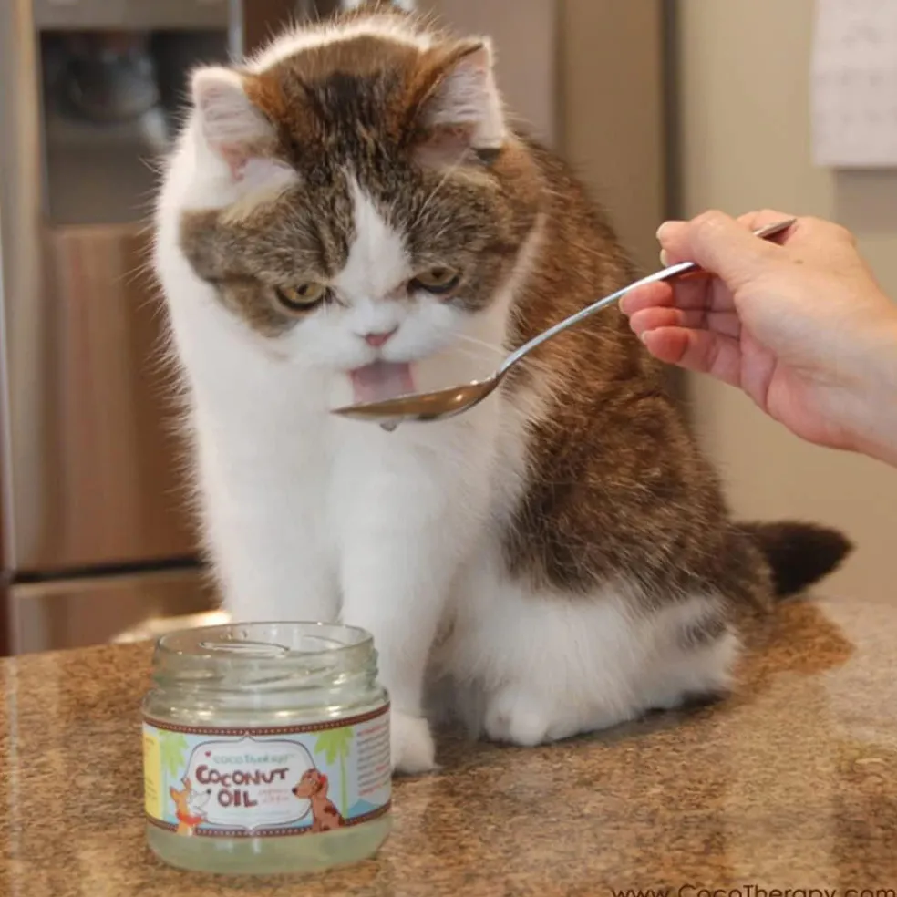 Cocotherapy Virgin Coconut Oil Supportive Care for Dogs, Cats & Birds