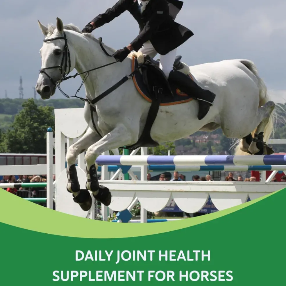 Comfort Quik w/ Hemp Joint Health & Mobility Supplement for Horses