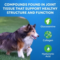 Cosequin Elements Joint Health Supplement for Dogs (75 chewable tablets)