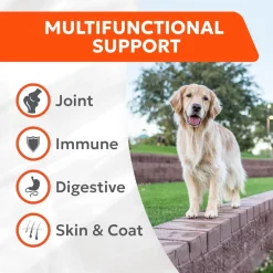 Cosequin Joint Health Supplement with Multifunctional Support (90 Soft Chews)