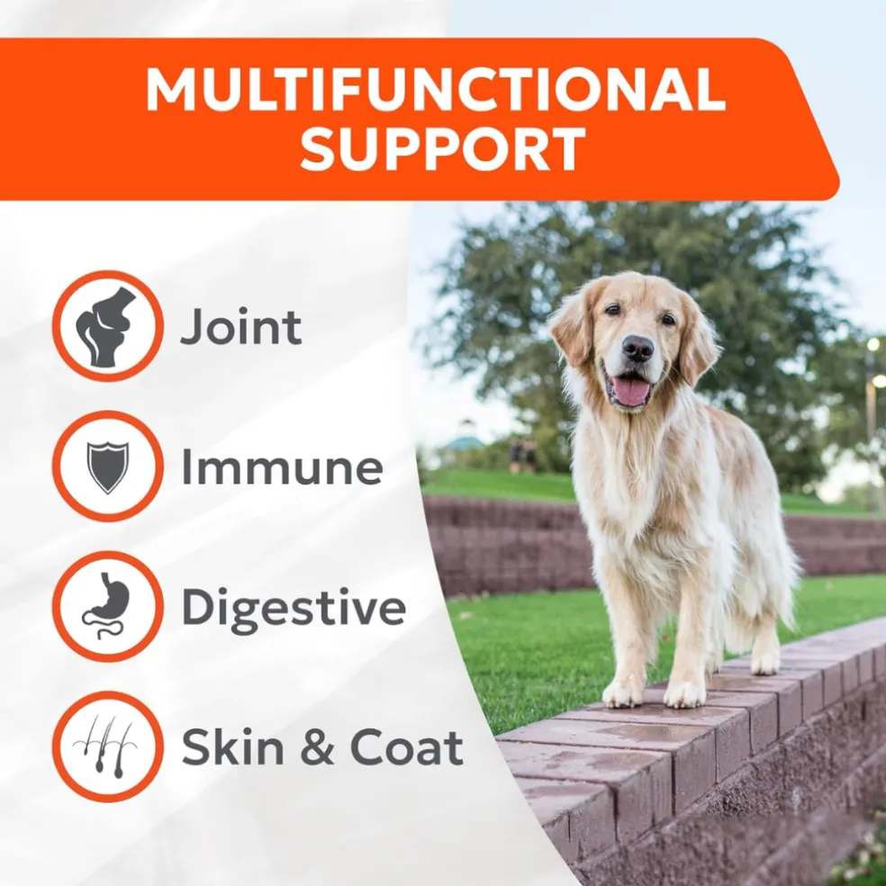 Cosequin Joint Health Supplement with Multifunctional Support (90 Soft Chews)