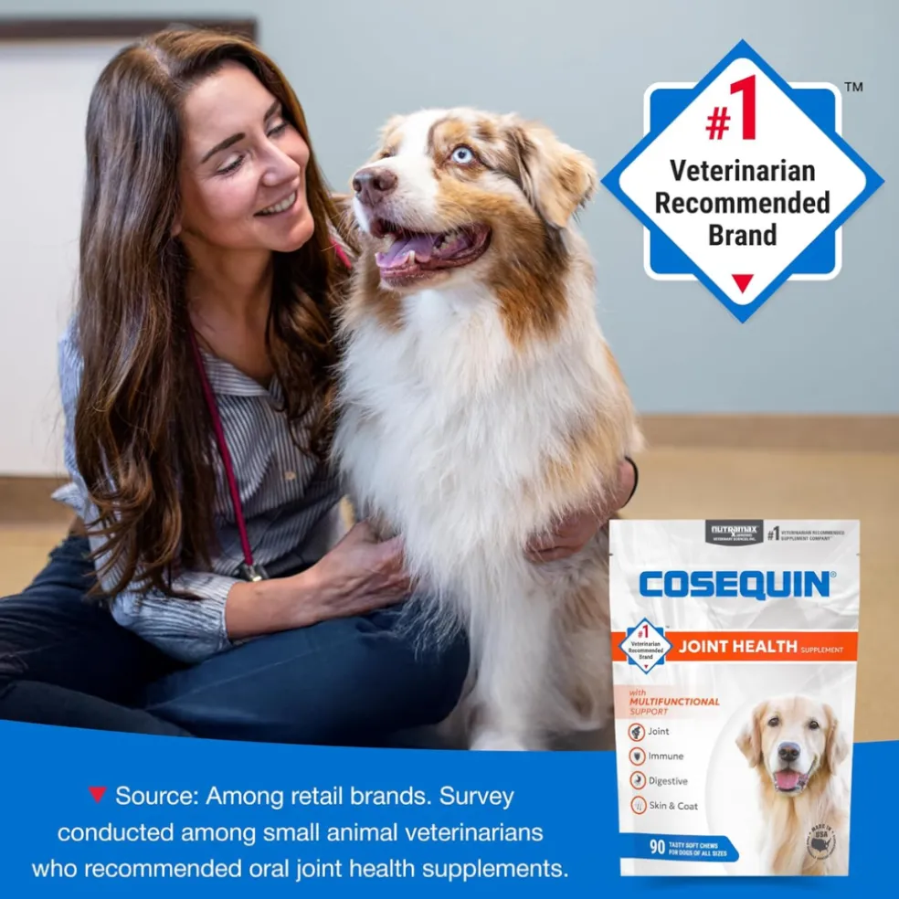 Cosequin Joint Health Supplement with Multifunctional Support (90 Soft Chews)